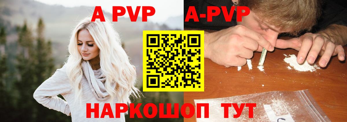 A PVP СК Новосибирск