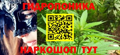 мдпв Славгород