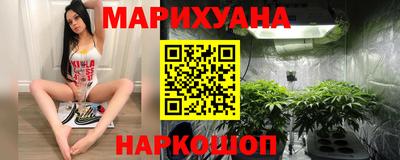 мдпв Славгород