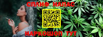 не бодяженный Сланцы
