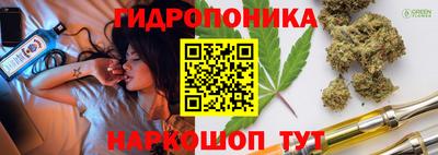 не бодяженный Сланцы