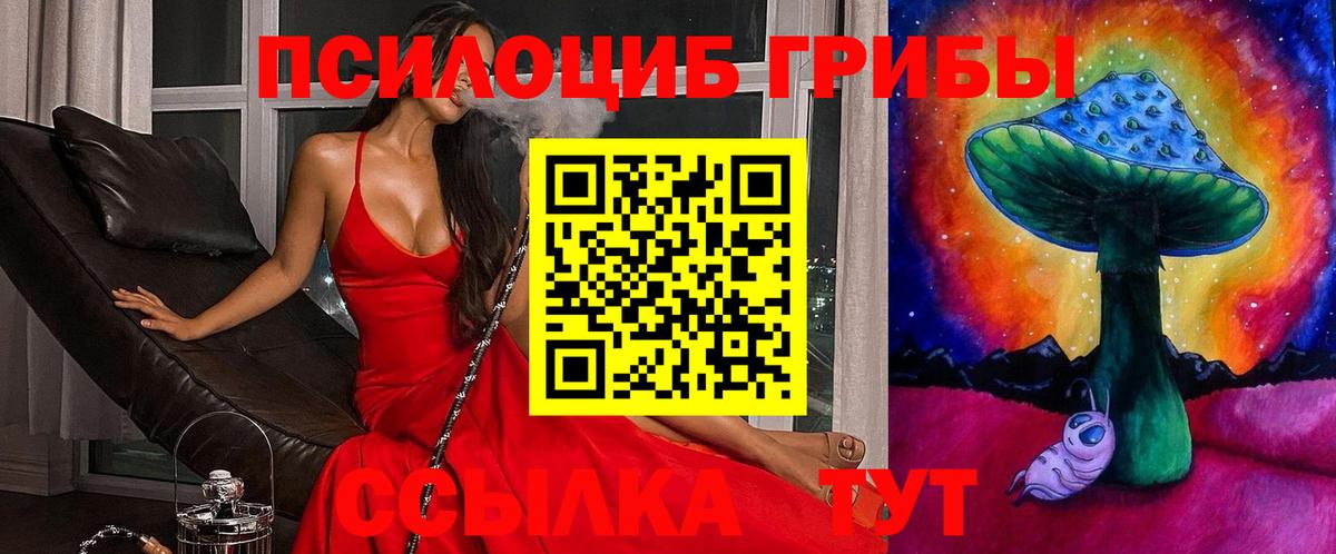 Галлюциногенные грибы MAGIC MUSHROOMS  Вход с VPN  Новосибирск 